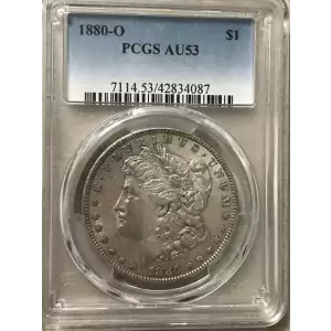 Morgan Silver Dollar